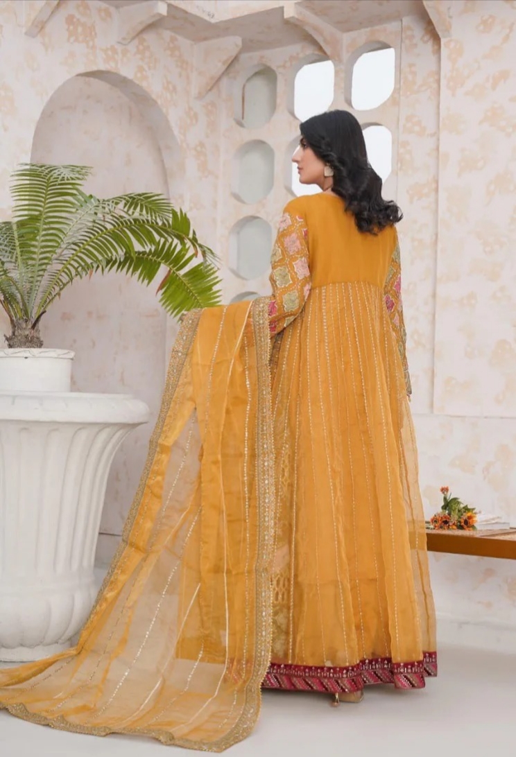 Luxurious Organza Maxi 3pc 👗